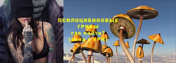 ГАЛЛЮЦИНОГЕННЫЕ ГРИБЫ Армянск