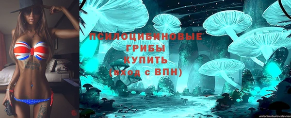 2c-b Осташков