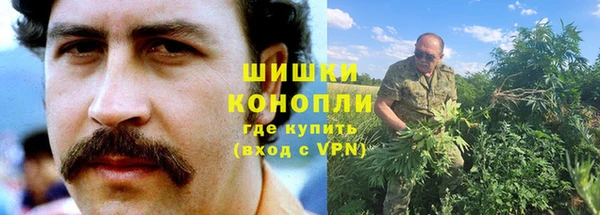 трава Арсеньев